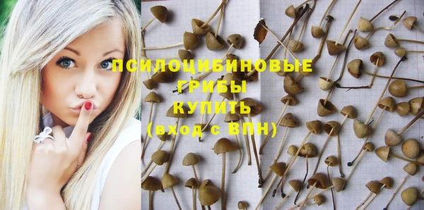 наркотики Краснослободск
